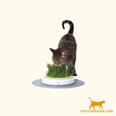 catit design senses grass garden kit kattengras 1 1