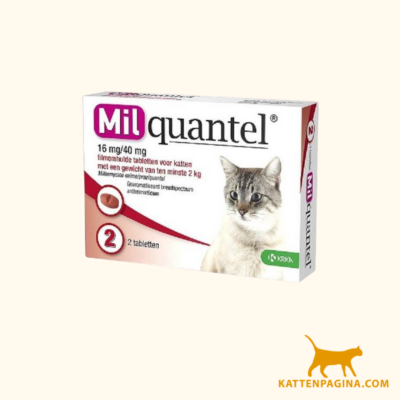 milquantel grote kat 16 mg 2 tabletten 1